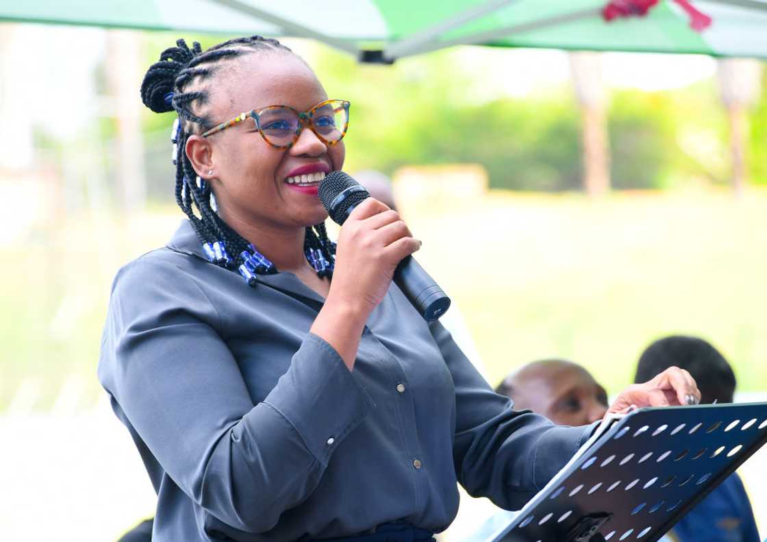 Nasiphi Moya said TMPD impounded Wanatu taxis Nasiphi Moya said TMPD impounded Wanatu taxis