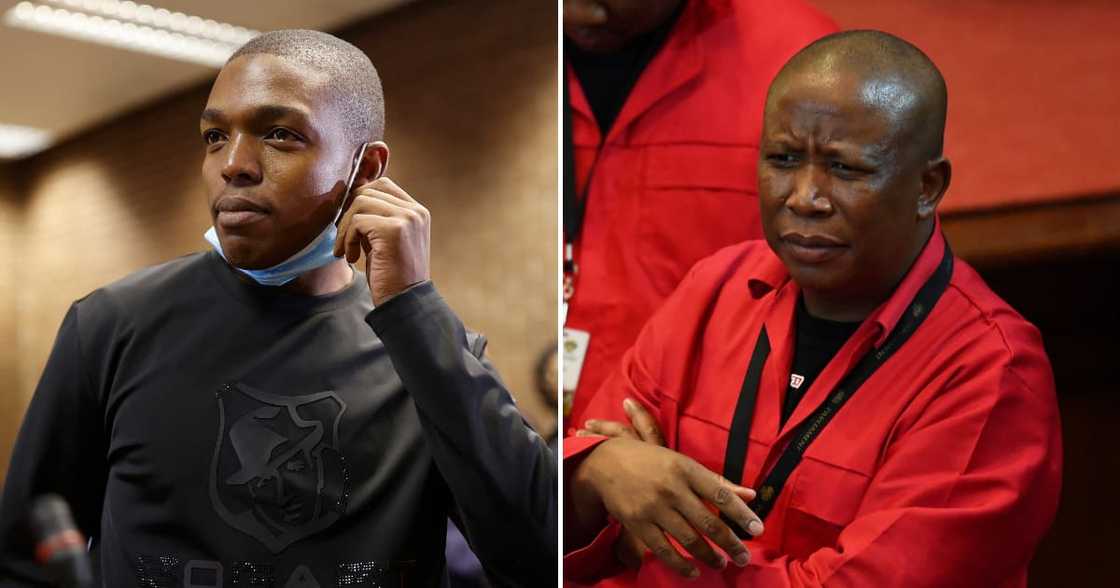 Julius Malema says the EFF had nothing to do with the bombing at Nhlanhla Lux Dlamini's house Julius Malema says the EFF had nothing to do with the bombing at Nhlanhla Lux Dlamini's house