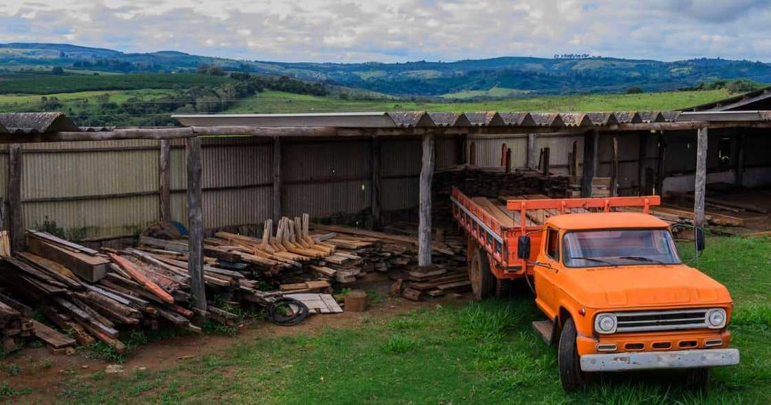 ford truck