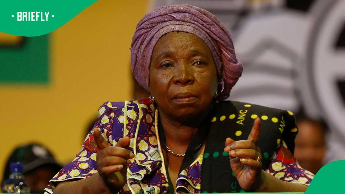 Nkosazan Dlamini-Zuma said that South Africans are not skilled enough Nkosazan Dlamini-Zuma said that South Africans are not skilled enough