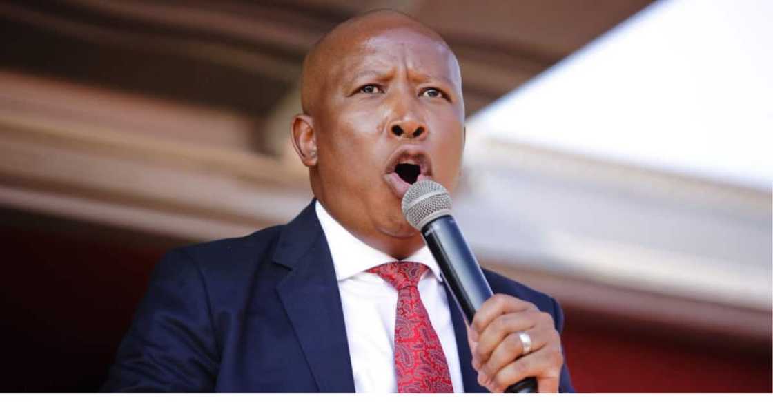Economic Freedom Fighters, EFF, Commander in chief, Julius Malema, Covid 19, Vaccine, Jab, Jews, Mandate, Academic year, Cape Peninsula University of Technology Economic Freedom Fighters, EFF, Commander in chief, Julius Malema, Covid 19, Vaccine, Jab, Jews, Mandate, Academic year, Cape Peninsula University of Technology