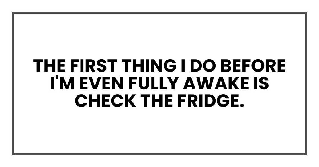 the first thing I do before I'm even fully awake is check the fridge. the first thing I do before I'm even fully awake is check the fridge.