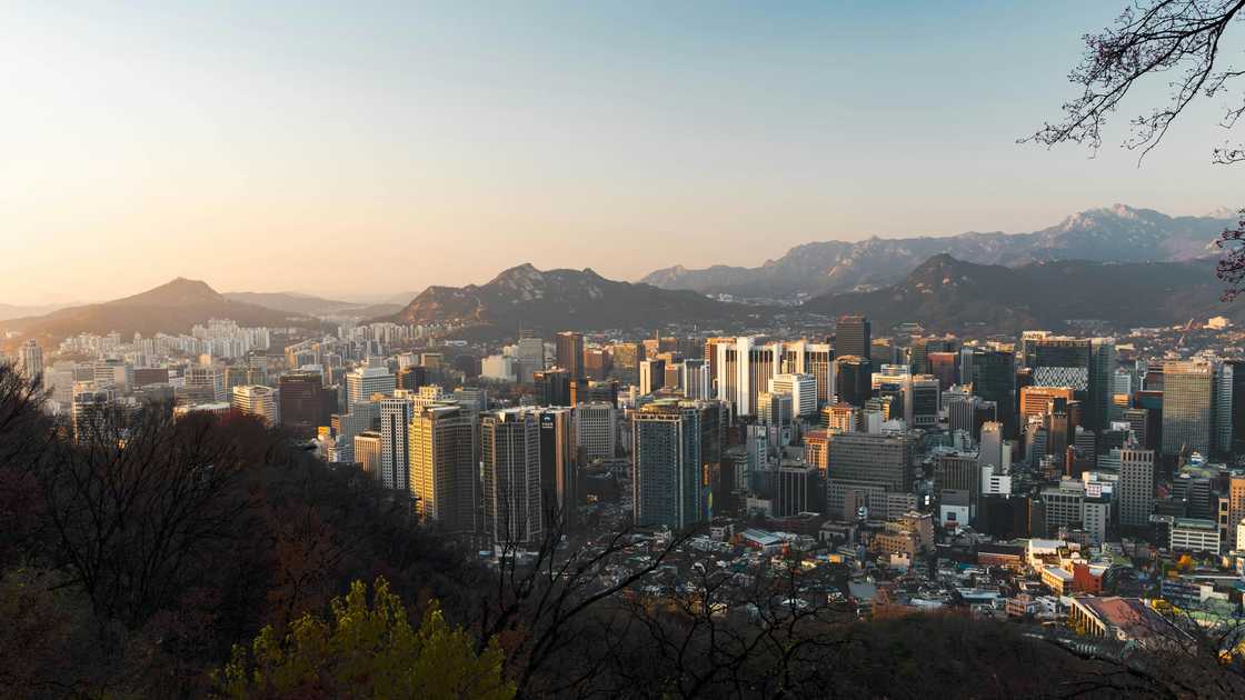 South African interested in Korea South African interested in Korea
