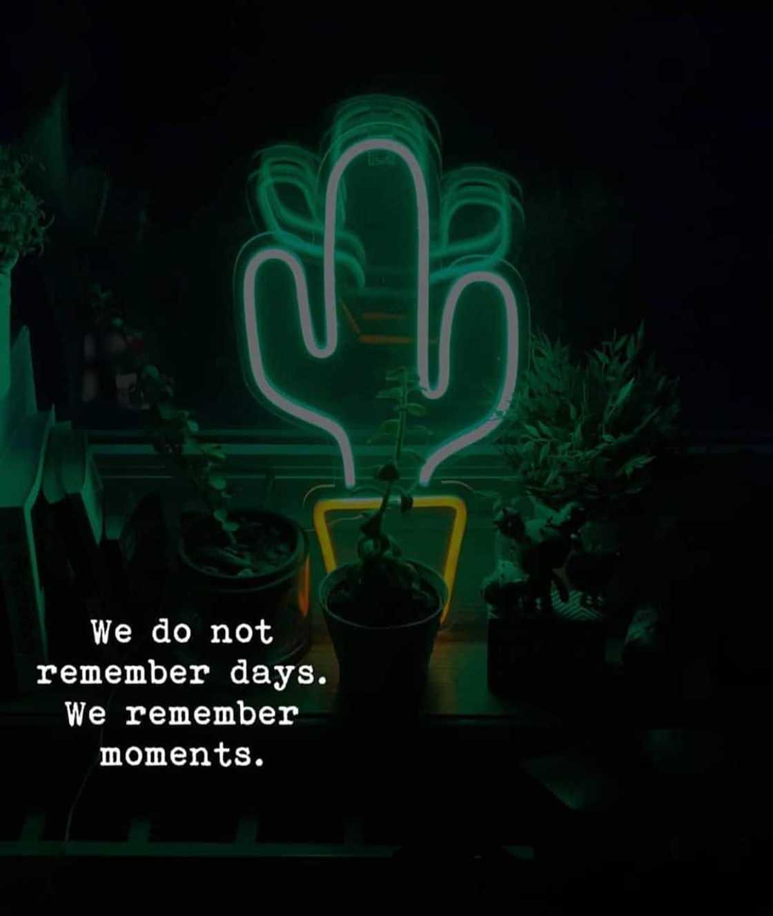 sad quotes about life that make you cry sad quotes about life that make you cry