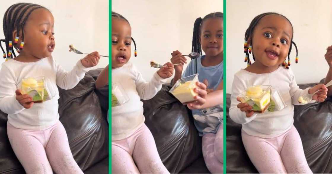 Girls eating cheesecake Girls eating cheesecake