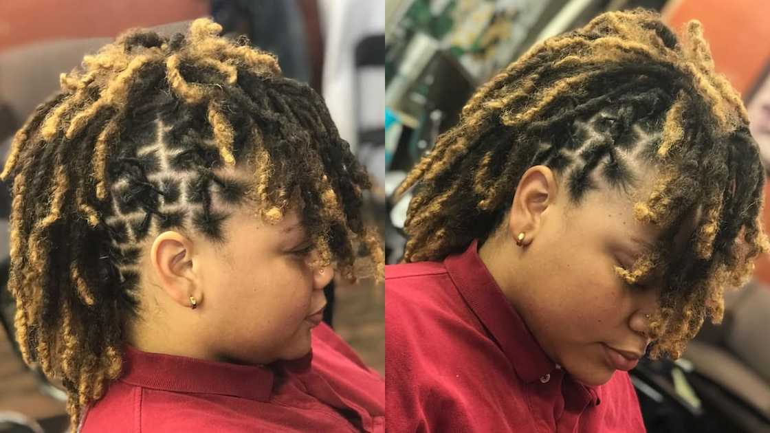 Black Mohawk dreadlocks with brown edges Black Mohawk dreadlocks with brown edges