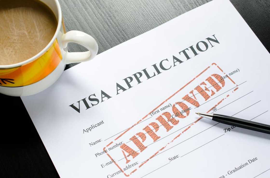 An approved visa application form An approved visa application form
