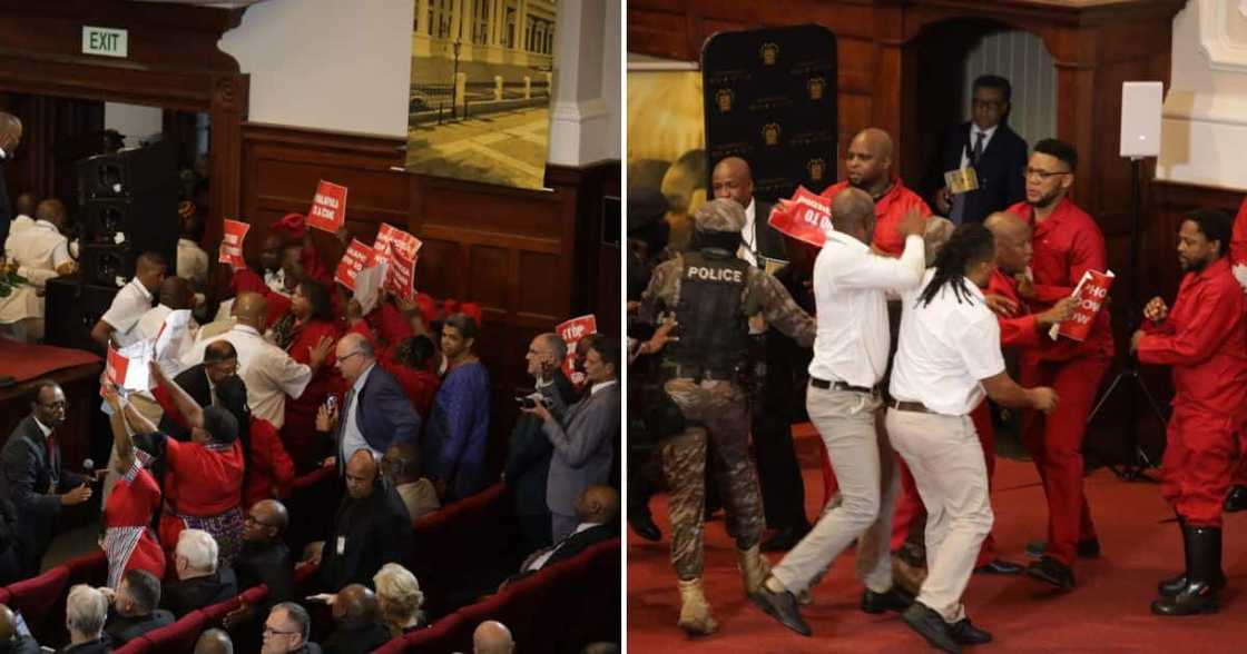 Julius Malema stands by EFF's Sona disruption Julius Malema stands by EFF's Sona disruption