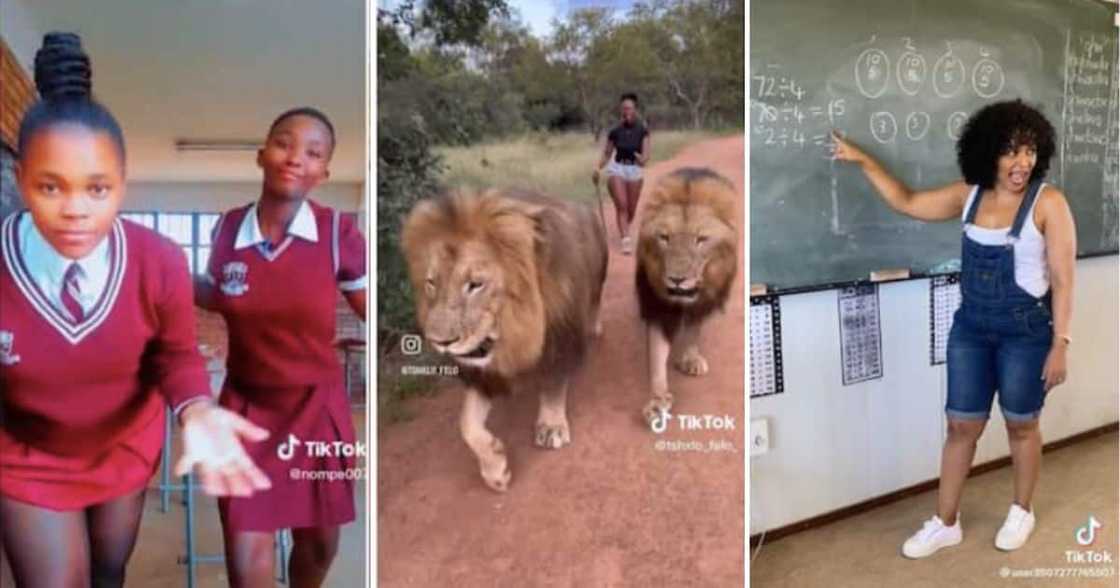 Weekly wrap: Students dance in mini-skirts, fearless woman walks two lions and teacher explains mathematics in Sesotho Weekly wrap: Students dance in mini-skirts, fearless woman walks two lions and teacher explains mathematics in Sesotho