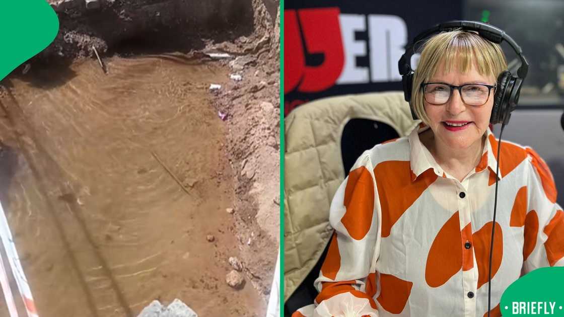 The visual on the right captured DA mayoral candidate for Johannesburg