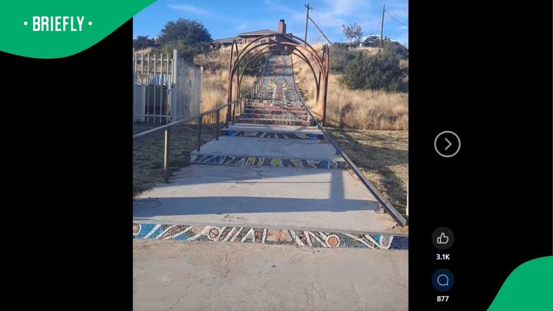 A video went viral on Facebook. A video went viral on Facebook.