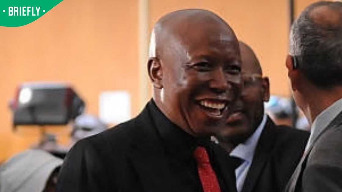Julius Malema Julius Malema