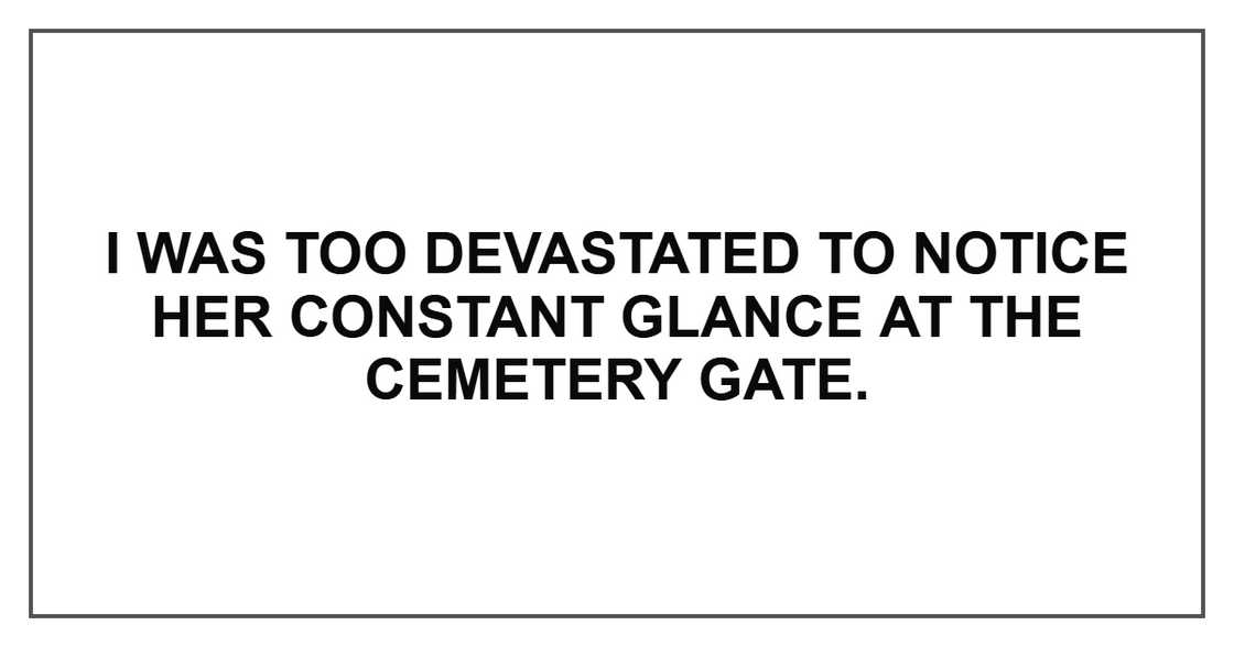 I was too devastated to notice her constant glance at the cemetery gate. I was too devastated to notice her constant glance at the cemetery gate.