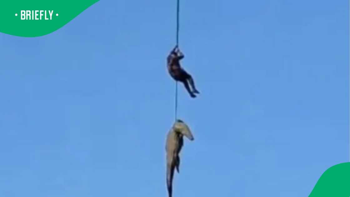 The image captured a dead crocodile that was linked to the fatal incident
