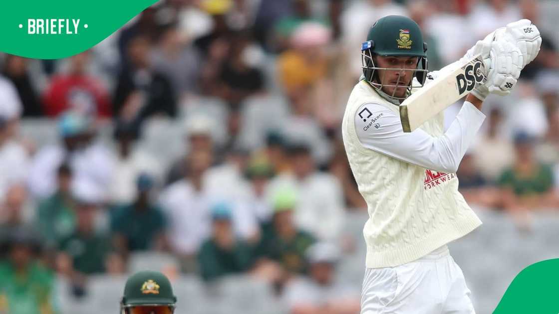 Proteas Proteas