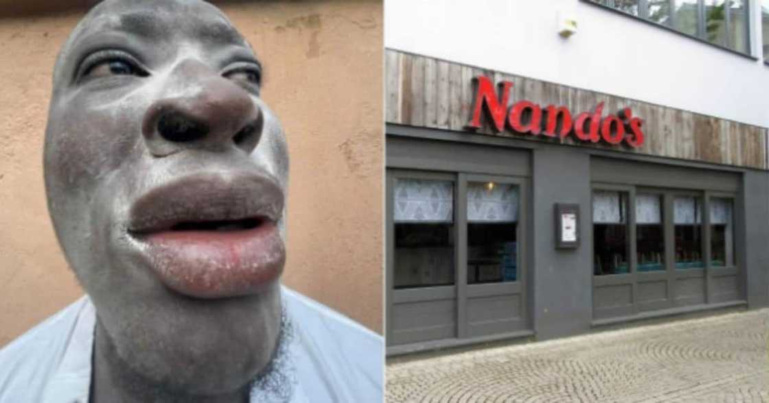 Mgijimi: Nando's Claps Back at Troll Over Rolls, SA Left in Stitches Mgijimi: Nando's Claps Back at Troll Over Rolls, SA Left in Stitches