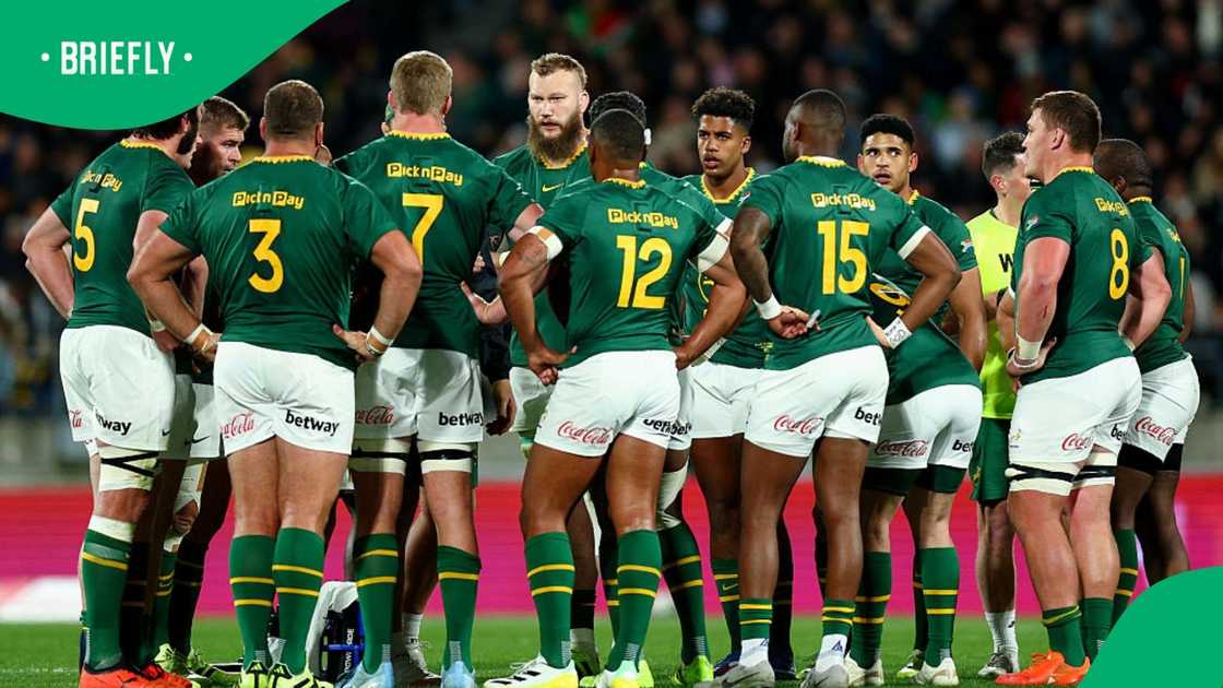 Steve Hansen reveals Springboks flaw
