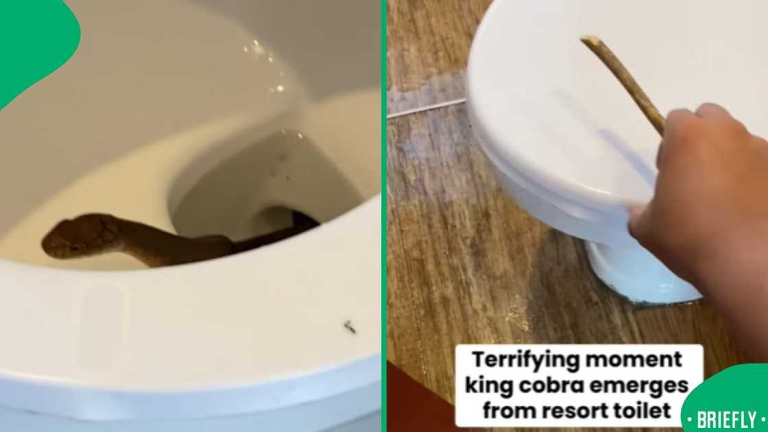 The image on the right captured the closed toilet as the man was about to open it