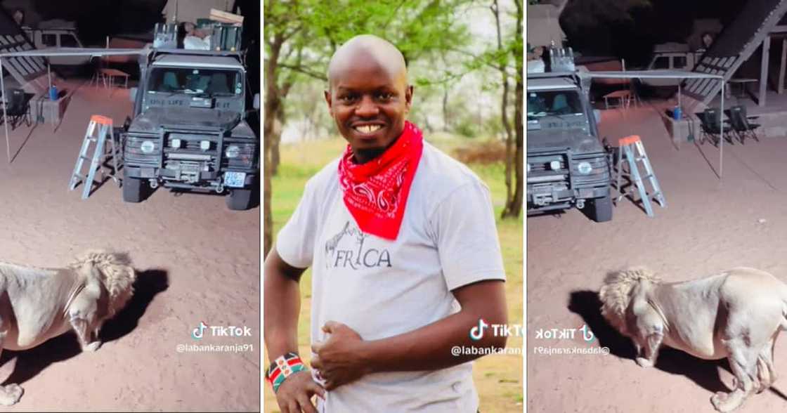 TikTok user @labankaranja91 was wowed by the incredible experience and shared it online TikTok user @labankaranja91 was wowed by the incredible experience and shared it online