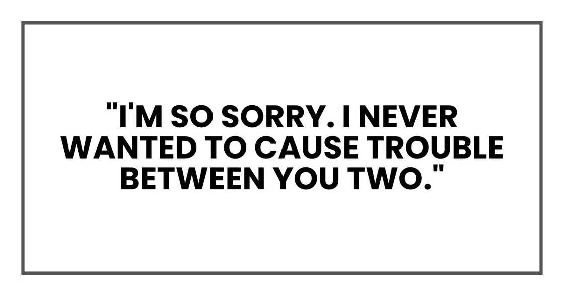 "I'm so sorry. I never wanted to cause trouble between you two." "I'm so sorry. I never wanted to cause trouble between you two."