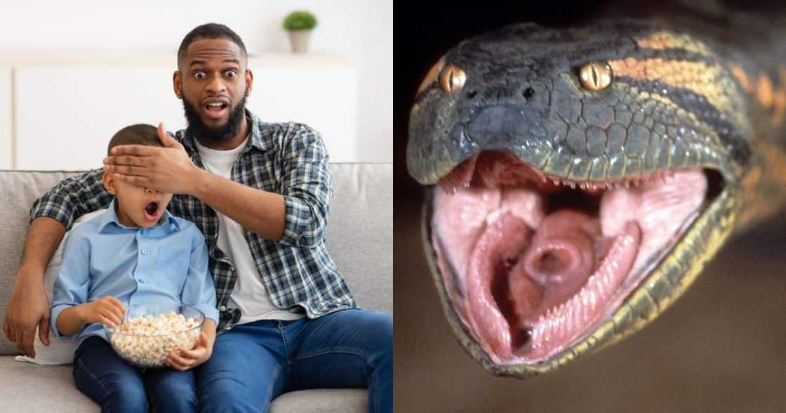 eTV, Anaconda, reruns, replays, South African TV, television, 2.4 million people, viral news, trending news eTV, Anaconda, reruns, replays, South African TV, television, 2.4 million people, viral news, trending news