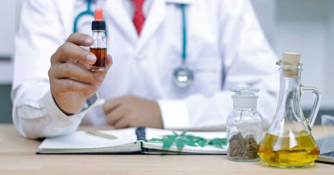 Business News: first cannabis medicinal pharmacy, Gauteng, KZN, Marijuana, THC pharamacy Business News: first cannabis medicinal pharmacy, Gauteng, KZN, Marijuana, THC pharamacy