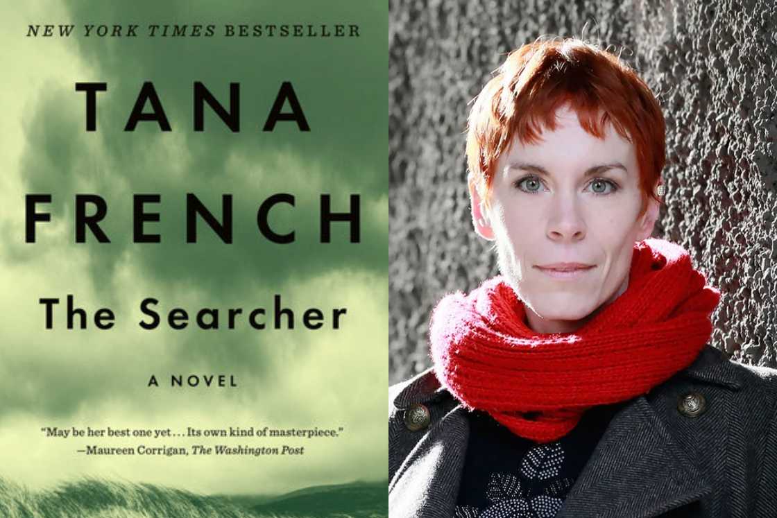 Tana French the Searcher