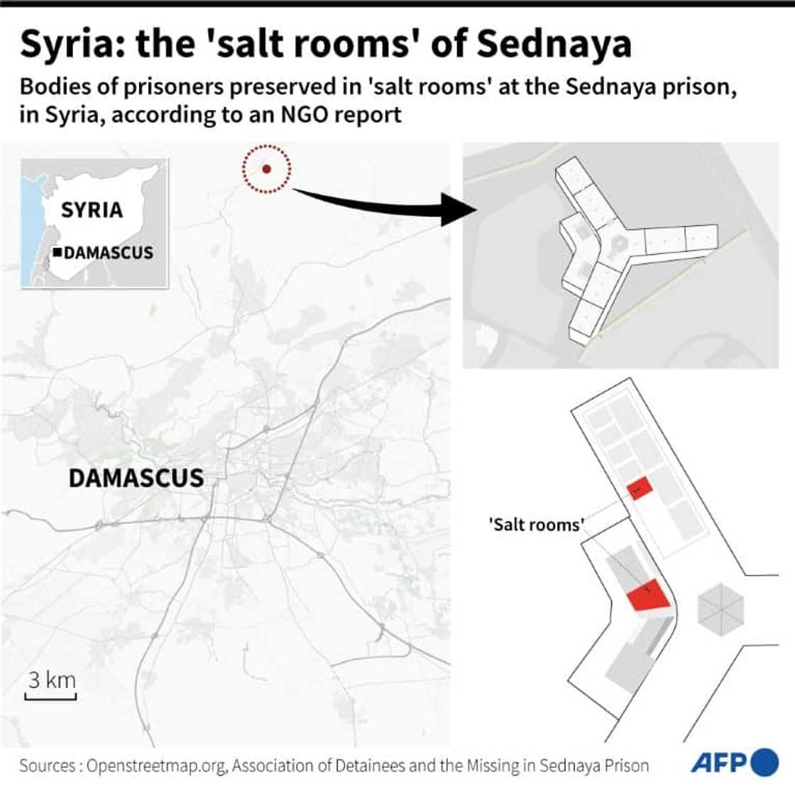 Syrian ex-prisoners haunted by horrors of 'salt rooms' Syrian ex-prisoners haunted by horrors of 'salt rooms'