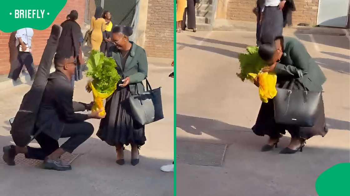 SA man surprises woman with edible leafy green bouquet SA man surprises woman with edible leafy green bouquet
