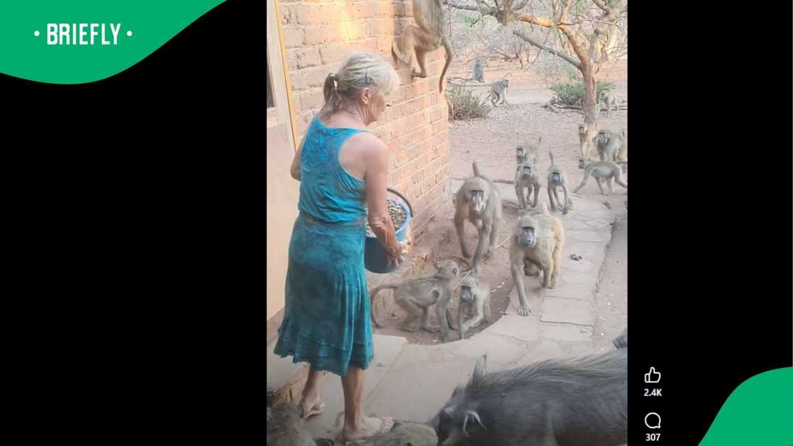 A video went viral on Facebook. A video went viral on Facebook.