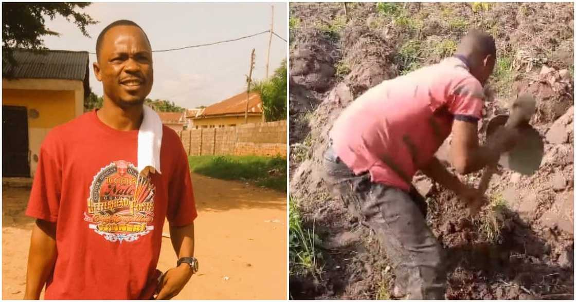 Daniel Gbenda, law student who is a farmer, Benue state, farming