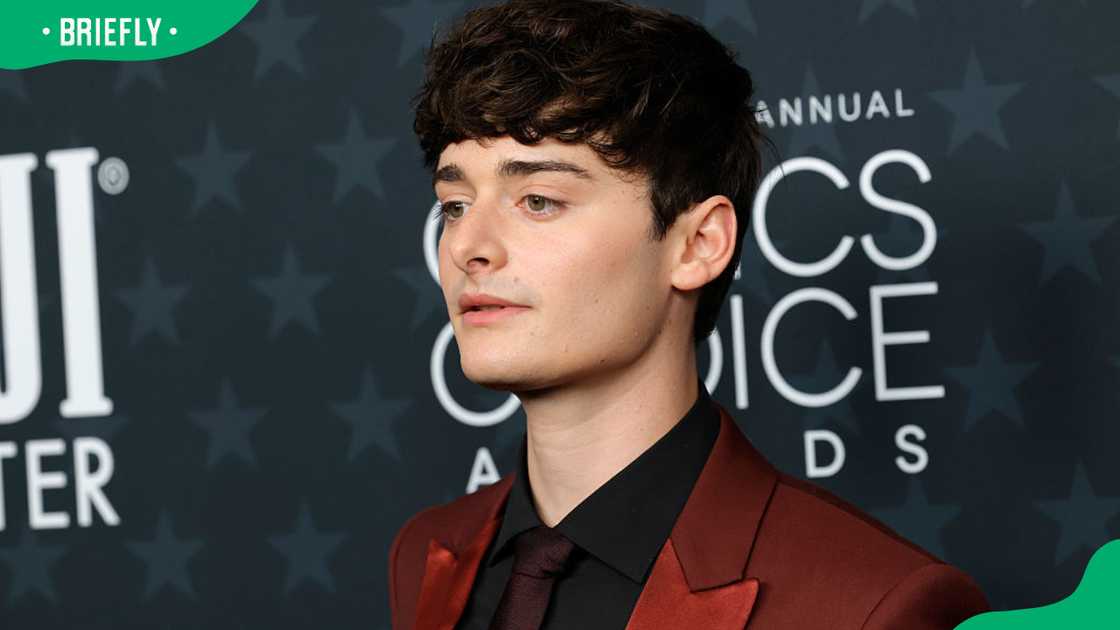 Noah Schnapp during the 2026 Critics' Choice Awards at Barker Hangar Noah Schnapp during the 2026 Critics' Choice Awards at Barker Hangar