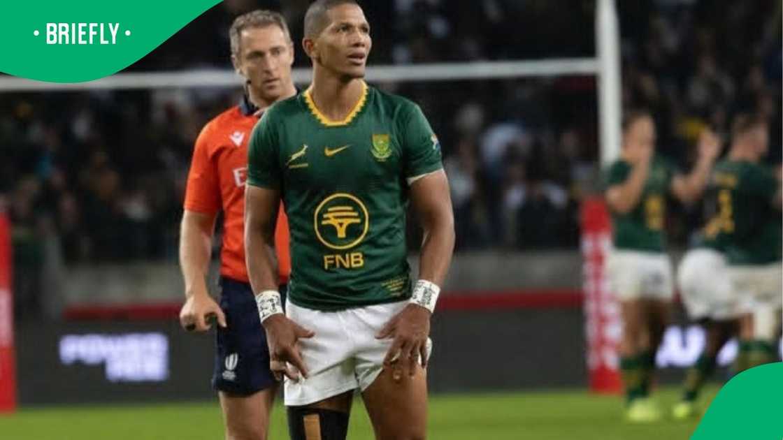 Springboks, Mannie Libbok, Verna Libbok Springboks, Mannie Libbok, Verna Libbok