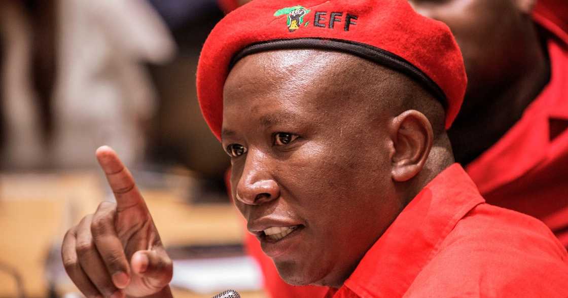 Julius Malema, EFF, Witbank, Mpumalanga, local government elections Julius Malema, EFF, Witbank, Mpumalanga, local government elections