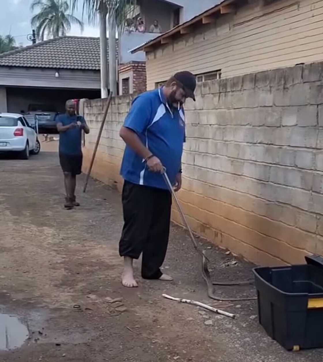 A man caused a stir online after capturing a black mamba barefoot in a video. A man caused a stir online after capturing a black mamba barefoot in a video.