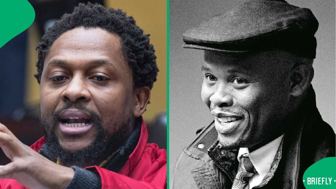 Mbuyiseni Ndlozi cheers Shadrack Sibiya being placed on leave