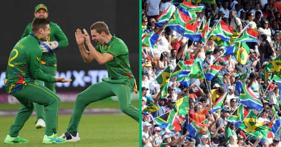 Proteas at Cricket World Cup Proteas at Cricket World Cup