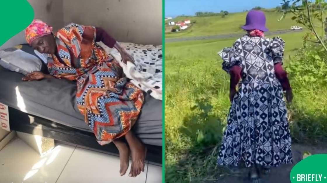 The screenshot on the right showed gogo in her farm