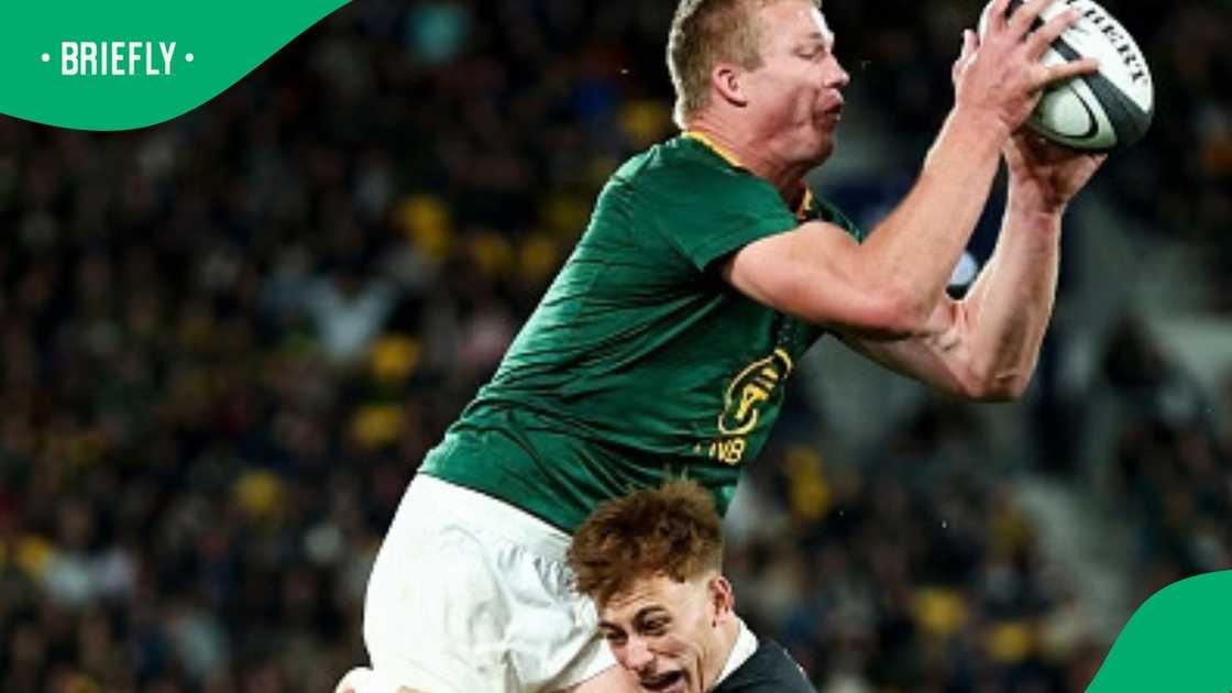 Ruben Love, All Blacks, New Zealand, South Africa Ruben Love, All Blacks, New Zealand, South Africa
