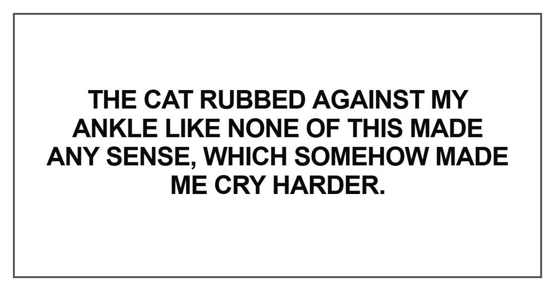 The cat rubbed against my ankle The cat rubbed against my ankle