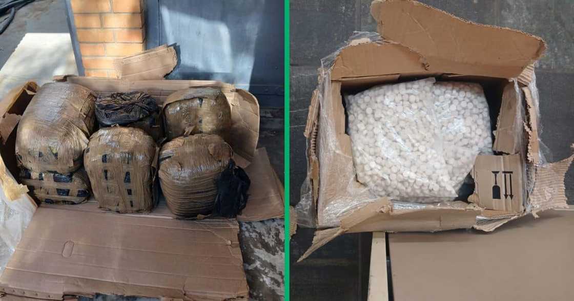 Western Cape drug bust Western Cape drug bust