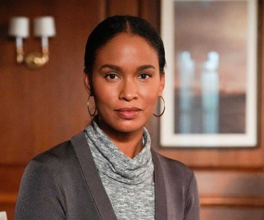 Joy Bryant's portrait Joy Bryant's portrait