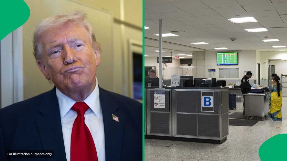 Failing to declare meat or seeds can lead to heavy fines at the border