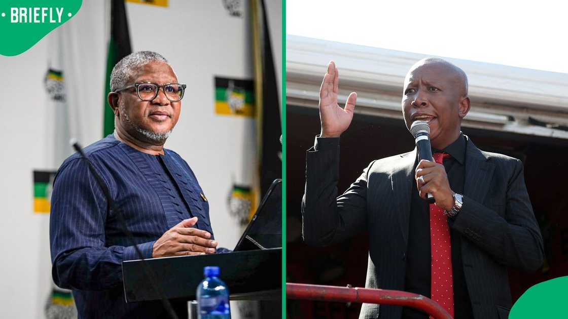 Julius Malema responded to Fikile Mbalula Julius Malema responded to Fikile Mbalula