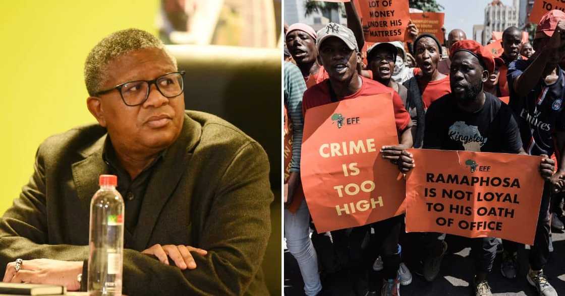 Fikile Mbalula mocked the EFF-led national shutdown