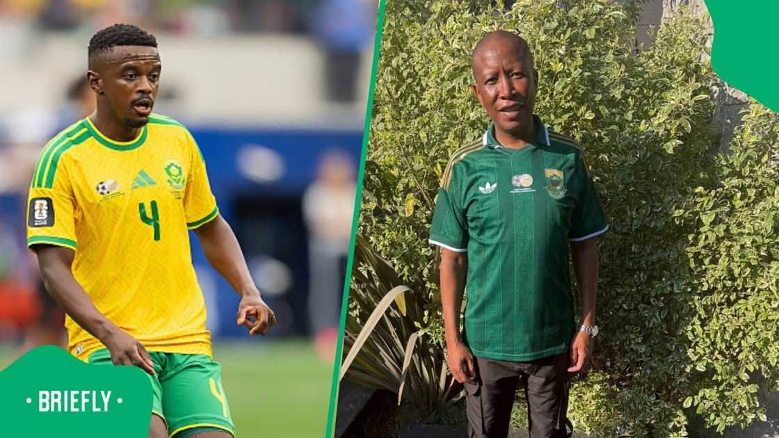 Teboho Mokoena, Julius Malema, EFF, South Africa, Bafana Bafana
