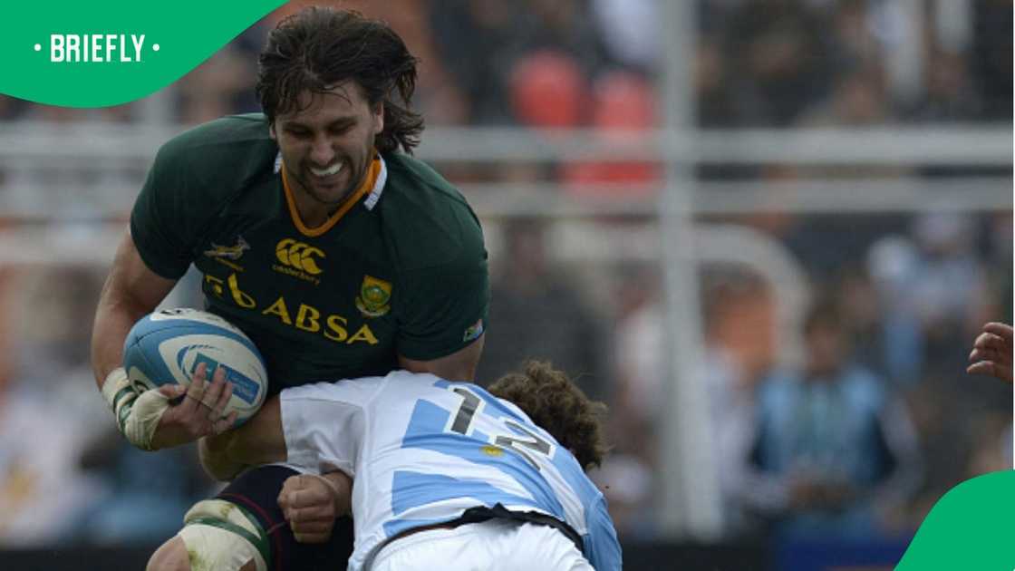 Jacques Potgieter, South Africa, Springboks, Argentina, Los Pumas