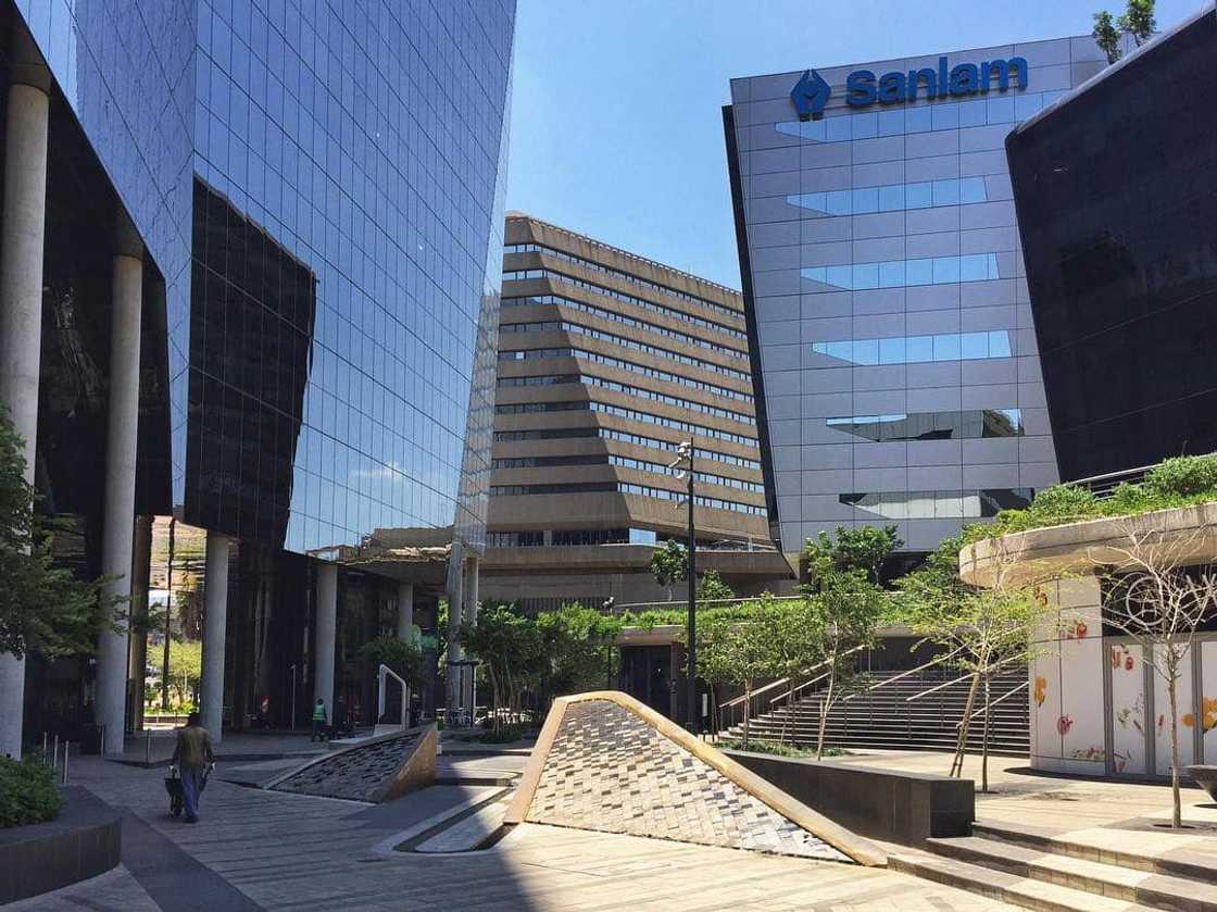 Established South African companies with the largest contribution to the country's economy Established South African companies with the largest contribution to the country's economy