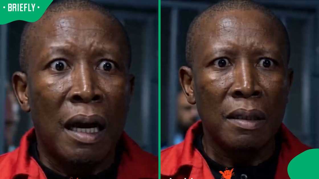 Malema