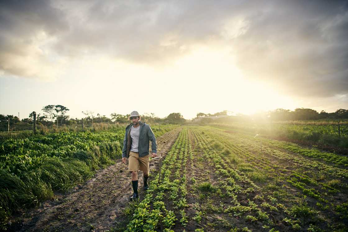 The SA Chamber of Commerce in the US said most of the people that enquired about relocating are farm labourers